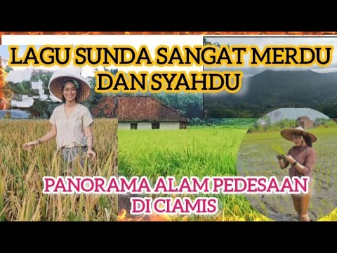 ⛔Pop Sunda Sangat Merdu - Neng fitri -Taman Kalbu - Klip Alam Pedesaan Di Rancah Ciamis