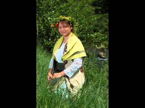 Ansambl Bože Janucića  - Vlaška četvorka