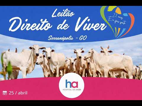 LEILÃO DIREITO DE VIVER - 25/04/2026 - SERRANÓPOLIS - GO