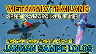 Download lagu BANYAK YANG CARI SUARA PANGGIL INI!!! mp3 Download lagu BANYAK YANG CARI SUARA PANGGIL INI!!! mp3