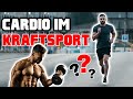 Muskelaufbau und CARDIO? Was du beachten musst!