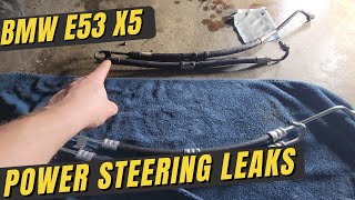M54 Power Steering Leaks | BMW E53 X5