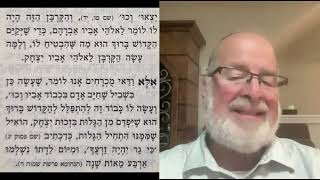 זרא שמשון - ויגש 9 ת'סת-פ"ח - רבי צבי חאן