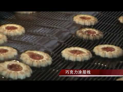 Chocolate biscuit&wafer Coating Line