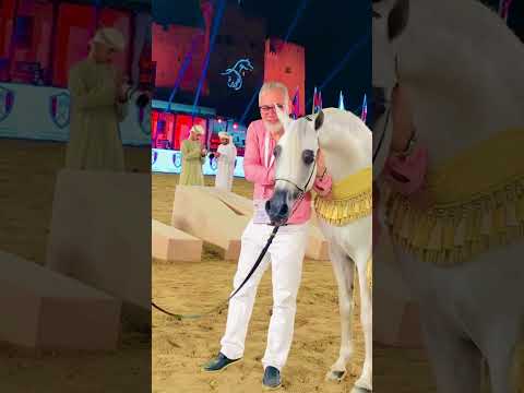 E.s,SARAB Arabain horse beautiful horse nice horse cute horse cool horse horse beautiful 🤩 horse 🐴