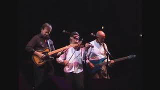 Fairport Convention   The Brilliancy Medley Cropredy 2004