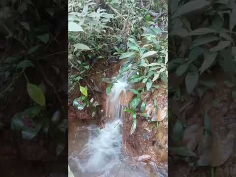 cachoeira da região de Orizona, Goiás