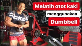 Download lagu Melatih otot kaki menggunakan Dumbbell mp3 Download lagu Melatih otot kaki menggunakan Dumbbell mp3
