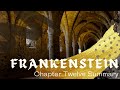Frankenstein: Chapter Twelve Summary