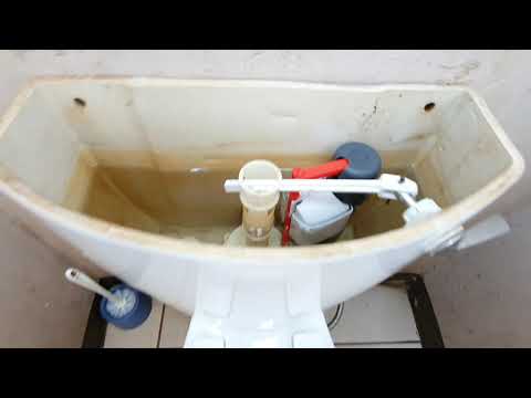 Odd find, 1990s Vaal "Hibiscus" cistern on a Solo "Geurnsey" Pan, read the description!