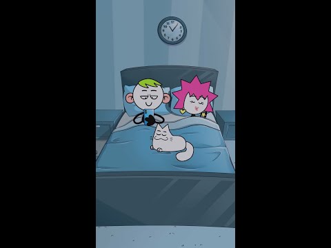 Quando você precisa acordar cedo #despertador #meme #tedepet