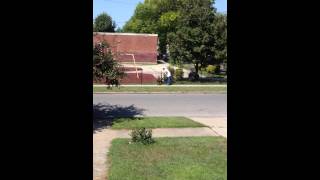 dogs left tied to school fence