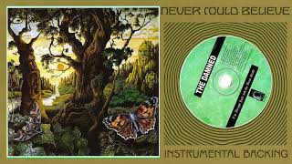 The Damned - Never Could Believe (Instrumental Backing)