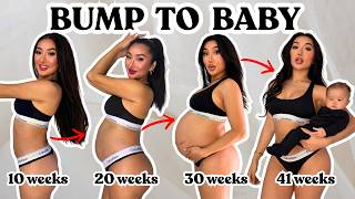 1 YEAR PREGNANCY BUMP TRANSFORMATION 🤰🏻 (WEEK BY WEEK)