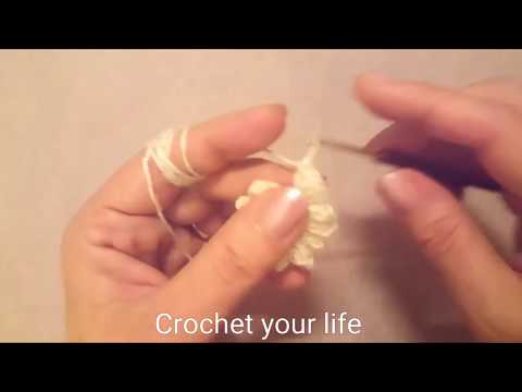 Flash model 5 - Floare popcorn