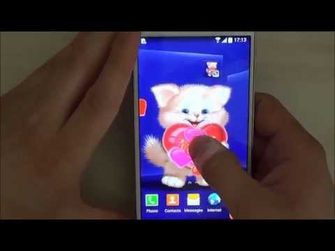 Cute Cat Live Wallpaper Video