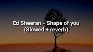Ed Sheeran - Shape of you (Slowed + reverb)