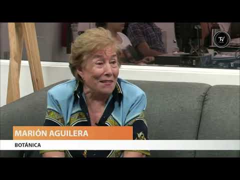 Grupo 2 - 3CA - LJMC