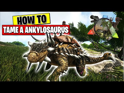 ARK SURVIVAL - HOW TO TAME A ANKYLOSAURUS