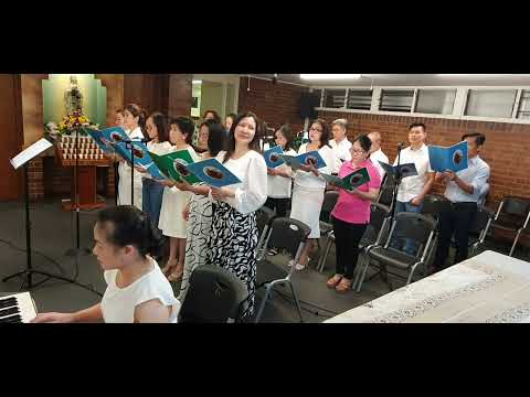 Ngợi Mừng Các Thánh Nam Nữ (St: Dấu Chân)