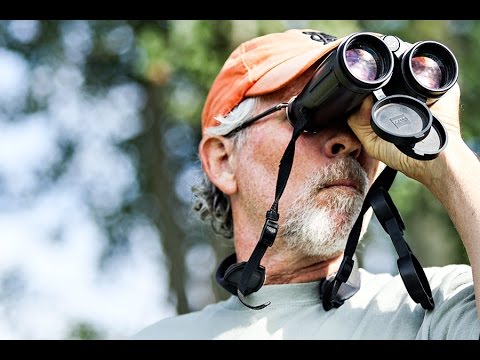 Video: Birding in the Flathead Valley
