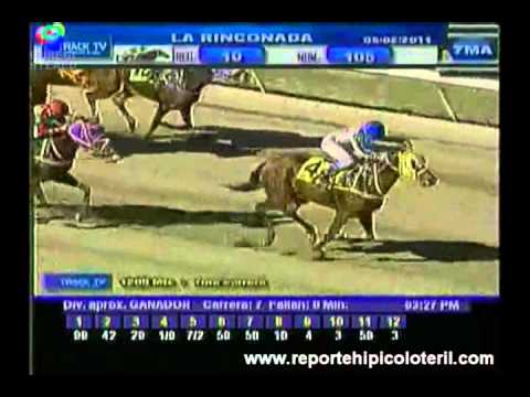 Resumen La Rinconada Sabado 05/02/2011