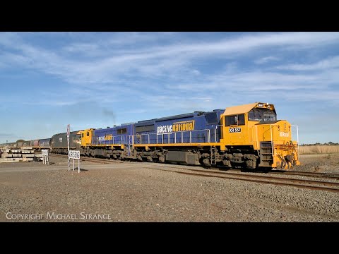 7737V Pacific National Grain Train With XR557 X50 G523 (14/4/2023) - PoathTV Railways In Australia