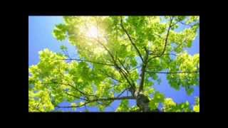 Download lagu سورة القلم - القارئ الصغير يوسف كالو surah AlQalam - yousof kalo mp3 Download lagu سورة القلم - القارئ الصغير يوسف كالو surah AlQalam - yousof kalo mp3