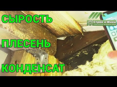 ТОП-3 убийственных причин загородного дома. Сырость. Плесень. Конденсат. Не Строй и Живи. ТОП-3 убийственных причин загородного дома. Сырость. Плесень. Конденсат. Не Строй и Живи.