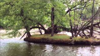 preview picture of video 'Fox River in Waterford, WI.wmv'