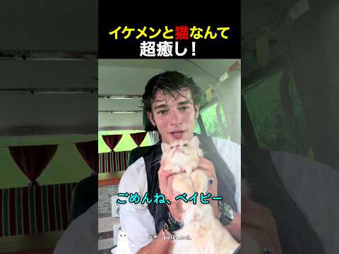 イケメンと猫なんて、超癒し！