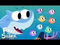 The Fish Go Swimming Kids Song Finny The Shark