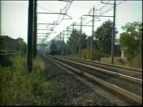 E444  Tartaruga in Romagna - 18