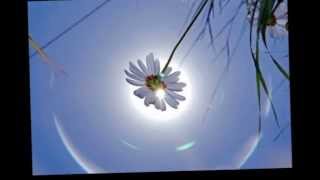 Tim Maia, Gostava tanto de você, 1973