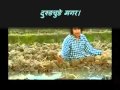 Nepali Folk Modern Song à¤¤à¤¿à¤®à¥€à¤²à¥‡ à¤¦à¤¿à¤¨à¥‡ à¤®à¤¾à¤¯à¤¾ Narend