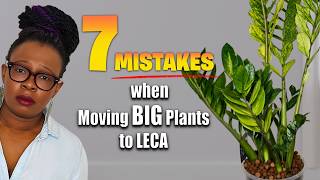7 Mistakes That Kill Big Plants in Semi Hydroponics Transitions