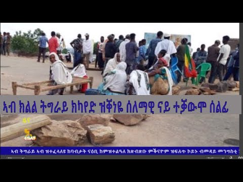 Ethiopia - ESAT Tigrigna News May 26, 2020