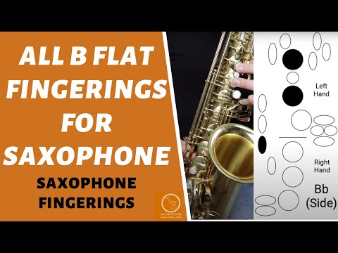 All B Flat (Bb) Fingerings On Saxophone (Side Bb, 1+1 Bb, Bis Bb)
