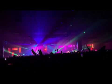 Tiger Kingdom Space Camp/Basshead - Griz HiJinx 2019