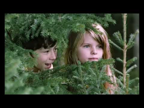 Yandex video arama