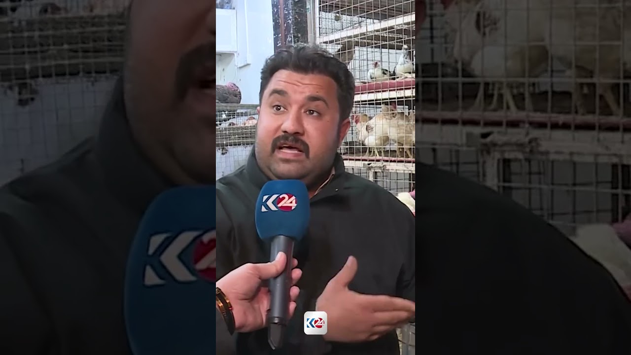 ڤیدیۆ | مریشکفرۆشێک: خەڵک حەزی لە مریشی زیندووە، چونکە..