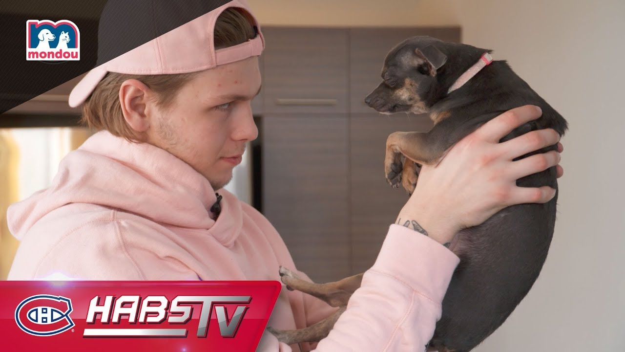 VIDÉO: Nous autres aussi, on serait prêt à endurer...