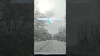 【大連】氷と雪の世界 #雪国 #氷の世界 #北の国から