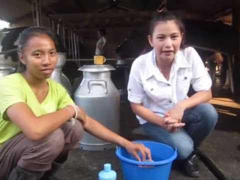 ซื้อซิลิโคนเต้านม ที่เพิ่มขึ้นเต้านม Irina Dubtsova