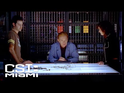 The Victim Had Two Wives -- Is One of Them the Bomber?