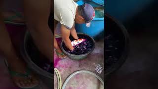 Download lagu Ikan koi Jumbo Lagi mp3 Download lagu Ikan koi Jumbo Lagi mp3