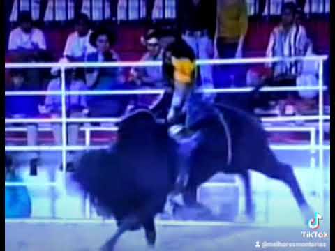 FABRÍCIO ALVES X BUIU - RODEIO DE BARRETOS 2001