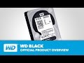 WD Black Video #1
