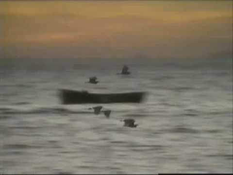 Liona Boyd / Richard Fortin - Concerto of the Andes (3rd Movement)