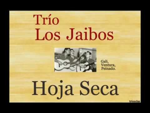 Hoja Seca - Trío los Embajadores